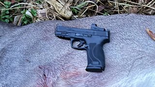 Deer Hunting with a Smith & Wesson M&P 2.0 10mm with a Burris Fast Fire 3 & Hornady 180gr XTP