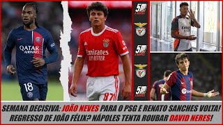 Semana decisiva para o Benfica no mercado: águias procuram fechar as entradas e saídas!