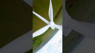 Wind turbines  FPV  #foryou #4k #fpv