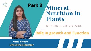 Mineral Nutrition in Plants || Part2 || Plant Physiology || Usha Yadav