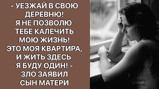 -Уезжай в свою деревню! Это моя квартира, и жить здесь я буду один, - зло заявил сын матери. История