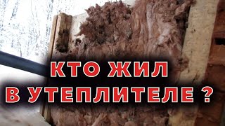 Утеплитель, кто в нем жил и откуда взялся