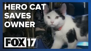 Cat saves man's life after fall