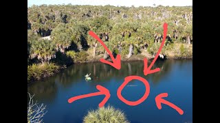 MANATEE SIGHTING - Bonus Footage from Linda Pedersen Park