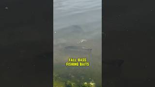 BAITS For Bass Fishing - FALL Fishing Highlights! 🎣🐟 #shorts #fishing