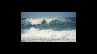 Waimea and Pipeline, November 2023