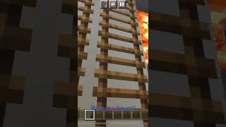 Rate the Minecraft house! #minecraft #viral #subscribe #thestairs #fun