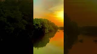 Beautiful Nature #nature #naturelovers #naturephotography #yt #ytshort #shortvideo #ytviral