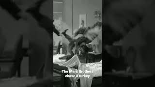 The Marx Brothers chase a turkey in Room Service 1938