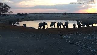 YouTube   Okaukuejo Resort, Wildlife Waterhole  Live camera stream @Namibia Wildlife Resorts