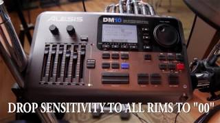 ☺ Alesis DM10X (problem fixed)