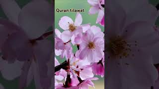 Surah Maryam best Quran recitation🕋 #shorts #shortvideo #Quran #youtubeshorts #islamicvideo ✨️✨️🤲💯✔️