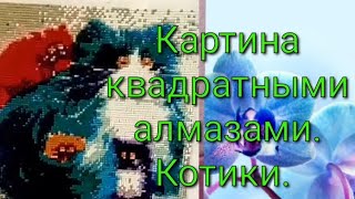 #алмазнаявышивка#алмазнаякартина#своимируками Картина квадратными алмазами. Котики.