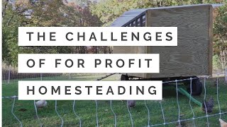 Making Money on a Homestead (The Challenges)