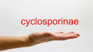 How to Pronounce cyclosporinae - American English