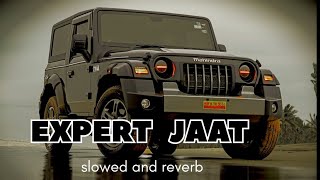 Expert Jaat slowed and reverb song.