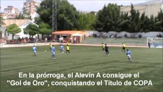 Campeones de COPA Benjamín y Alevín