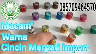 Cincin Merpati Import