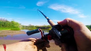 Pesca de TARARIRAS en un lugar hermoso - PIQUES EN VIVO con señuelo