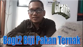 Gratis !!! Bagi Bagi Biji Tanaman Pakan Ternak Kambing maupun Sapi