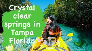 Tampa Florida: Exploring the best Springs and Beaches