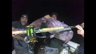 FishinWithFatt 76lb James River Giant Blue Catfish