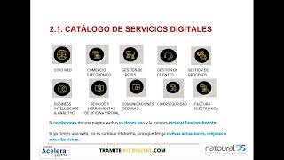 KIT DIGITAL. Consultoría para la ejecución de proyectos subvencionados