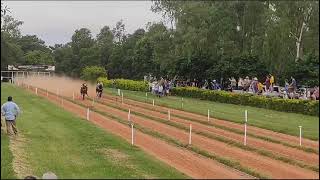 Saino 07 ganador en el Hipódromo Las Mellizas San Javier Mnes