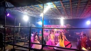 Nepal girls mandili hare ram hare krishna ramdhuni dance program || DJ VIKASH RAJ BHIMPUR