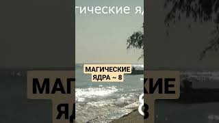 МАГИЧЕСКИЕ ЯДРА 8 #shorts