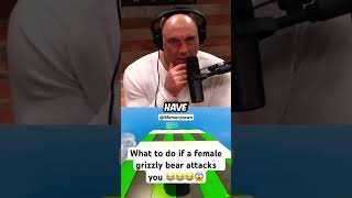 Joe Rogan explains what to do if a female grizzly bear attacks you 😱😱😱😱😂