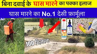 बिना दवाई के हमेशा के लिए घास मारने का No.1 फ़ार्मूला • Best Herbicide, Ghas Marne Ki Desi Dawa