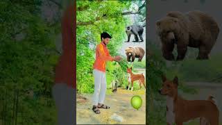 5 may 2024 Colouring_balloons_to_bandar_bhalu_kutta___khargosh_-_Animals_names_magic_#ytshort (360p)