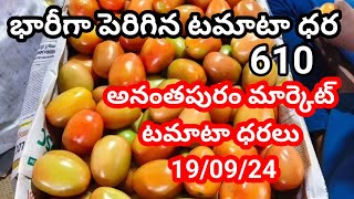 19-09-24|| today tamatar rate in Ananthapuram market || Ananthapuram market tamata price today