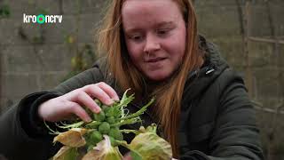 OMHELS KNUFFEL EN PLUK (Ecologische Tuin Venlo)