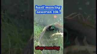 hasil mancing saweran 10k