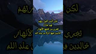 قراءة من سورة آل عمران - الشيخ عبد الباسط عبد الصمد - رحمه الله