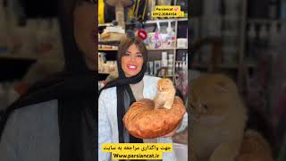 وقتی گربه شمه فکر کنه شما مامانش هستی اینکار ها رو برای شما انجام میده www.parsicat.com #گربه_خانگی