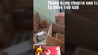 Sản xuất thang băng chuyền giá rẻ chất lượng | Băng Tải Thiên Kim