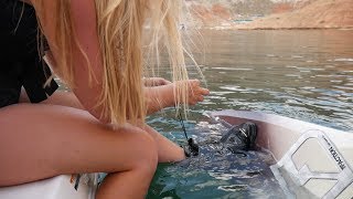 EPIC LAKE POWELL ADVENTURE - LIAM HOSE