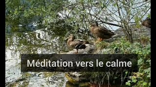 Méditation guidée - Gestion du stress  -  Psychologie