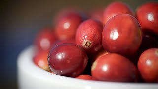 Villeroy Cranberries | WE ARE THE BEST