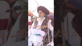 دو شیروں کی ملاقات کا مختصر واقعہ سنیں 😞🥰 | Allama Khadim Hussain Rizvi | khadim rizvi #shorts