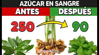 5 PLANTAS para BAJAR EL AZÚCAR EN SANGRE Rápido 🤯🌿 Remedios naturales contra la Diabetes