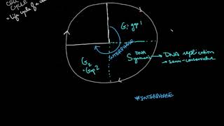 Growth and Cell Division