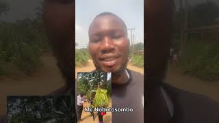 The village masquerade that uses POS machine | Mc Nobotosombo | Masquerade |