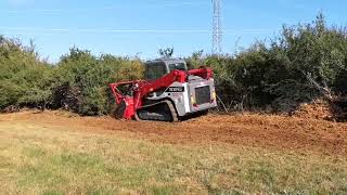 Mini chargeur TAKEUCHI TL12 V2 + Broyeur.