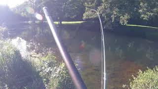 Rockbourne #troutfishing #Flyfishing, Hard fighting trout, summer trout fishing, 4 trout in the net.