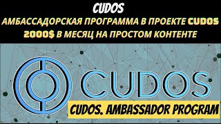 АМБАССАДОРСКАЯ ПРОГРАММА В ПРОЕКТЕ CUDOS. 2000$ В МЕСЯЦ НА ПРОСТОМ КОНТЕНТЕ.CUDOS AMBASSADOR PROGRAM