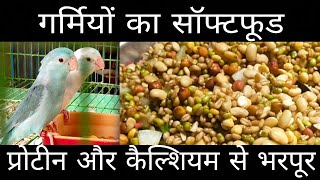 BEST PROTEIN RICH SOFT FOOD FOR BIRDS IN SUMMER || All About Pets (Hindi)